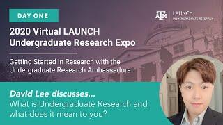 What is Undergraduate Research and What Does it Mean to You? | David Lee | 2020 LAUNCH UGR Expo