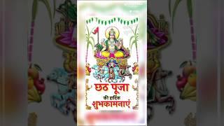 New chhat puja video 2024 #shortvideo #reels #manish #chhaila #bihari #official