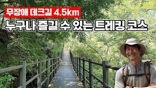 ‍도심 속에 숨겨진 4.5km 무장애 숲길  | 여름 트레킹코스 | 도심산책 | 대중교통 당일치기 여행ㅣ지하철 여행ㅣ트레킹 코스ㅣ서울산책