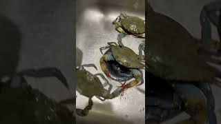 Buttered Garlic Blue Crabs #seafood