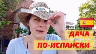 Дачная жизнь в Испании | Что растет на испанских дачах?