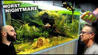 I messed up... PRO aquascaper makes aquarium in my studio (aquascape tutorial)