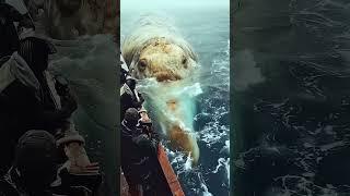 К рыбакам из глубины приплыло морское чудовище #fishing