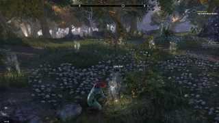 TESO - Clothier Survey: Glenumbra