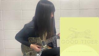 Good Tiger   Where Are The Birds   Guitar Cover