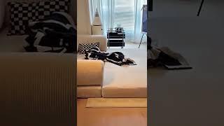 Minimalist Convertible Sleeper Sofa – Compact, Functional, and Stylish