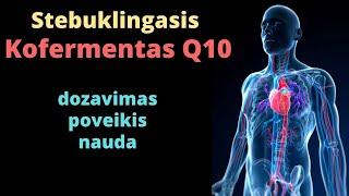 Kofermentas Q10 | Sveikata