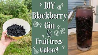 DIY Blackberry Gin - What do we do with all this fruit?! - House renovation vlog