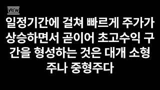 초수익 성장주  마크미너비니