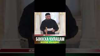 УМАР ХЕХОЕВ "БОККХА ЧУЛАЦАМ БОЛШ ХЬАДИС" ХЬЕХАМ