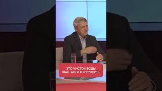 Дмитрий Чубашенко, выпуск программы ПУЛЬС от 06.11.2024