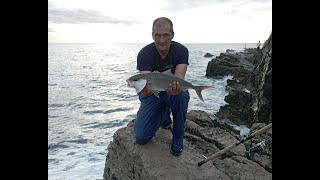 Shore Jigging Montenegro-Afternoon Amberjack