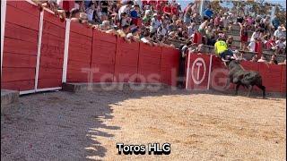 ️TE ACABAN DE SALVAR LA VIDA‍️ TORAZO DE MERCEDES PEREZ TABERNERO.  TORREJONCILLO DEL REY(cu)