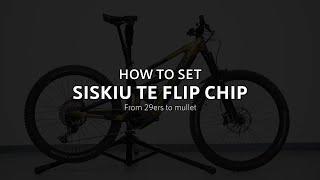 Siskiu TE: How to mullet with flip chip