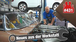 Neue Teile für Holgers Jaguar E-Type! | Seat-Leon-Rücklichter bei "Wer zweimal kauft, kauft öfter"