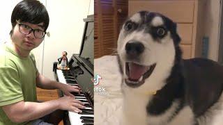 Piano Duet with Husky singing a Fire Solo