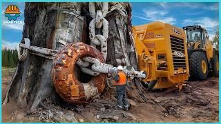 999 Amazing Fastest Big Tree Removal Bulldozers Working At Another Level