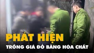 Phát hiện cơ sở trồng giá đỗ bằng hóa chất ở Huế: Chất cấm gây tác hại ra sao?