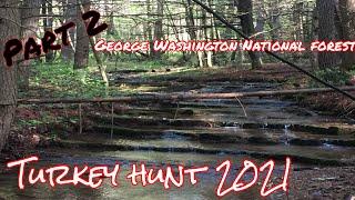 Part 2 George Washington national forest turkey hunt