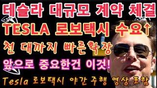 테슬라 대규모 계약 체결!! / 차가 부족하다. TESLA 로보택시 수요↑ 천 대까지 빠르게 확장 할 것 / 앞으로 중요한 건 이것! / Tesla 최신 로보택시 야간 주행 영상