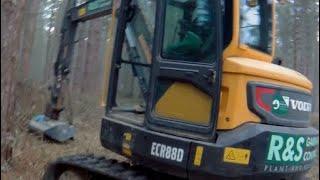 VOLVO DIGGER ECR88D with mulching flail head!! #volvo #flail # lovinglife #power