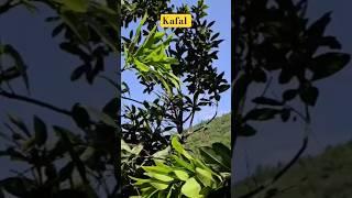 #shortvideo #shorts