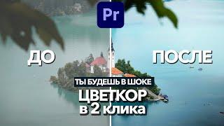 ЛУЧШАЯ ЦВЕТОКОРРЕКЦИЯ для ВИДЕО в Adobe Premiere Pro