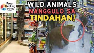 Ahas at Bayawak Nakita sa Grocery?? Mga hayop na nakita sa Tindahan