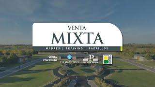  Venta Mixta / Haras Firmamento y Haras La Pasión / Martes 23 de Abril 2024 a las 14 H