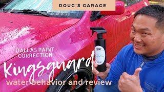 DPC KINGSGUARD REVIEW 2019 [Doug's Garage]