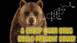 How a cheap liver drug could prevent COVID! An Excellent Pharmacology Study Published in Nature!