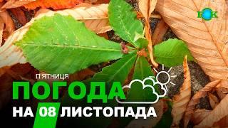 Прогноз погоди на 8 ЛИСТОПАДА/ Погода на завтра