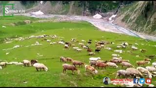 Chorr Valley | Beautiful place to visit in Pakistan | #sherazivlog