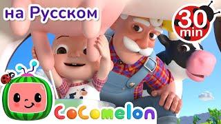 Фермер Макдональд | 30 минут | Сборник | CoComelon на русском — Детские песенки | Мультики для детей