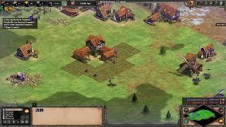 Teutons 23+2 Fast Castle into Boom Arena Build Order [AoE2]