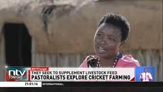 Women in Northern Kenya turn cricket farming into a profitable business to save livestock