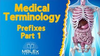 Medical Terminology - Prefixes, Part 1