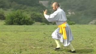 Shaolin Qi Xing Quan Shi Yong Zhi 少林七星拳