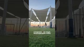 НОВОСТЬ ВЕКА! Не монетизируй свое хобби, читай описание #shortvideo #хобби #монетизация