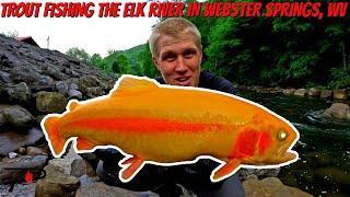 Trout Fishing West Virginia's Elk River (In Webster Springs)