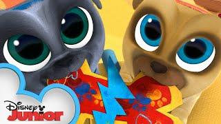 Happy Valentine's Day!  | Puppy Dog Pals | @disneyjr