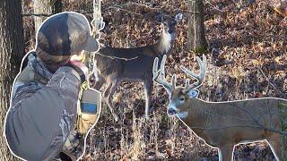 Doubled Up In Illinois! (Deer Are Everywhere)