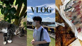 제주도 vlog│피즈 버거│랜디스 도넛│카페 팀블로우│애월 해안│카페 노티드 제주│소길별하│고등어 회│모니카 옛날통닭│제주 소품샵