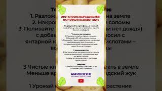 ЛУЧШИЙ способ для выращивания КАРТОФЕЛЯ! #сад #картофель #огород