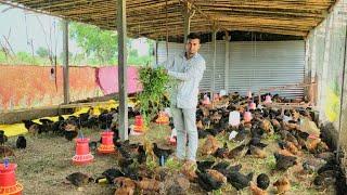 500 Desi Poultry Farming by Sudarshan