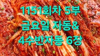 금요일 자동 & 4수반자동 6장 1151회차 5부