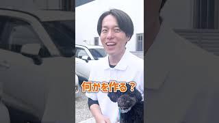 【犬しつけ】ご飯で過剰に興奮する犬のしつけ方法は？
