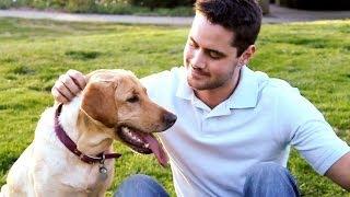 The Bond Between Man's Best Friend and Their Owner