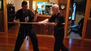 Jason Scott of Trimm No Shin Kobudo is doing my 8th Sai basic