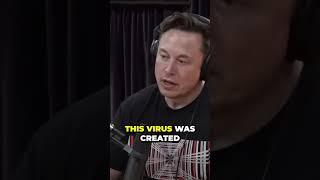 Uncovering the Truth About COVID 19  What You Didn t Know